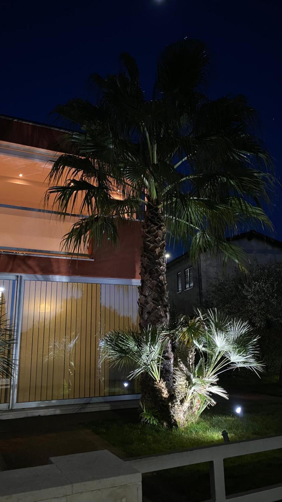 Ivni Apartmani Novigrad Istria 외부 사진